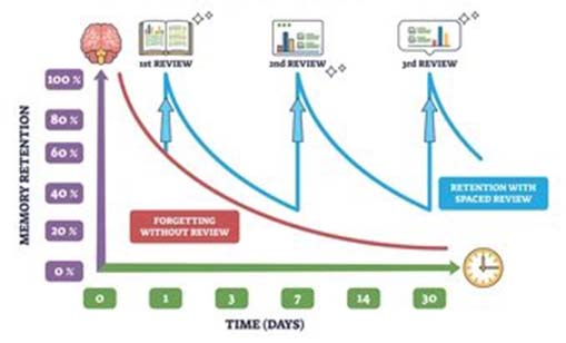Study effective Learning Cur4ve