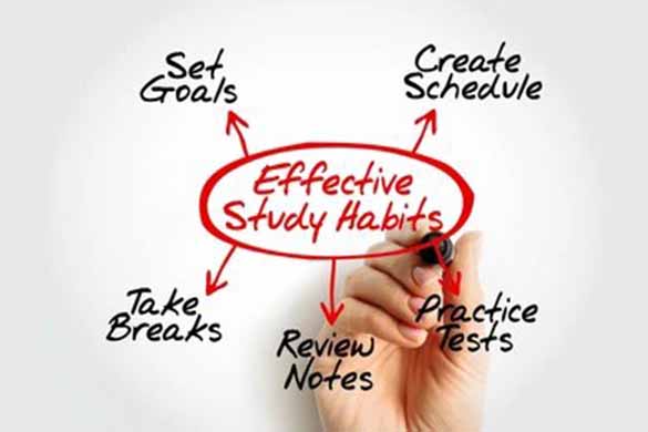Study effective