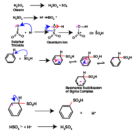 How to carry sulphonation of arenes