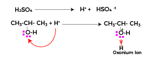 Acid catalyzed dehydration of alcohols