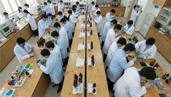 Analysis of ammonium Chloride